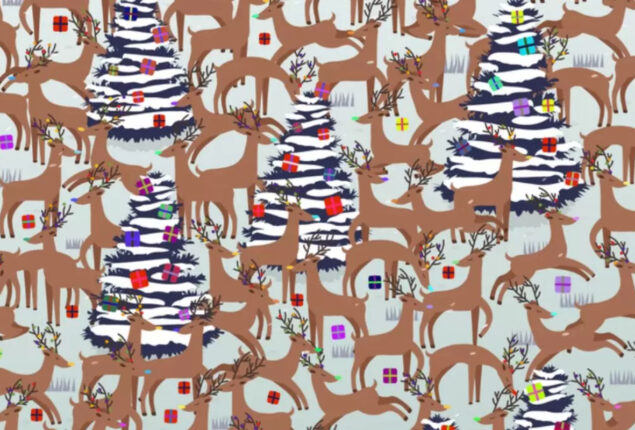 Optical Illusion: Spot the Red Nosed Reindeer in 30 Seconds?