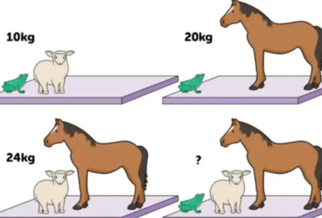Knowledge test