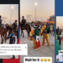 Video of Mexican fans ‘riding horses’ in Qatar is hilarious: Watch