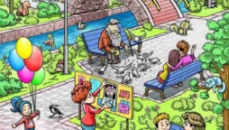 Optical Illusion: Can you find the lost dog in 15 seconds?