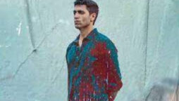 Adivi Sesh confirms release of HIT 2 in Hindi