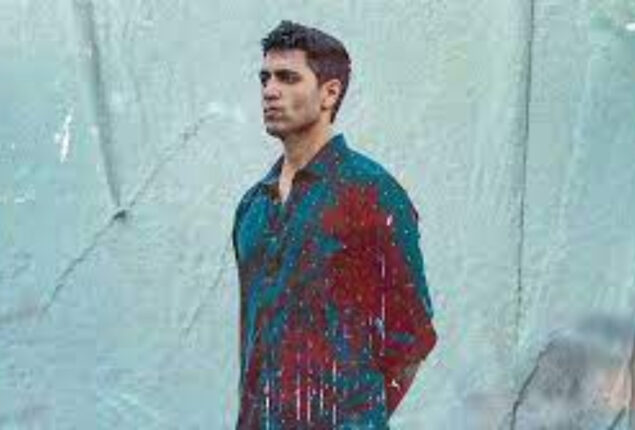 Adivi Sesh confirms release of HIT 2 in Hindi