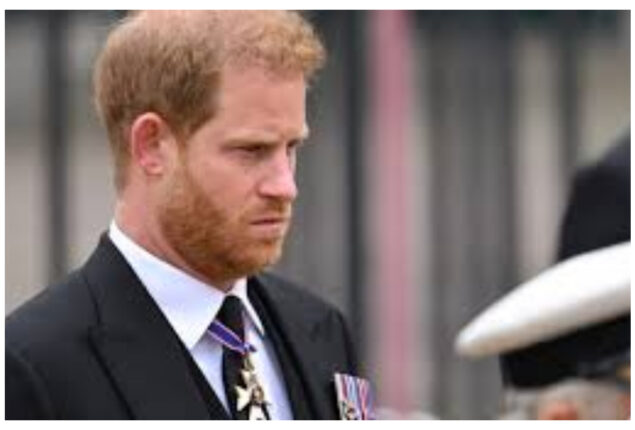 The Firm could give Prince Harry “serious blowback” for what he did