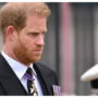 The Firm could give Prince Harry “serious blowback” for what he did