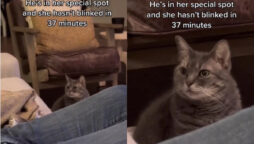 Big Bang Theory