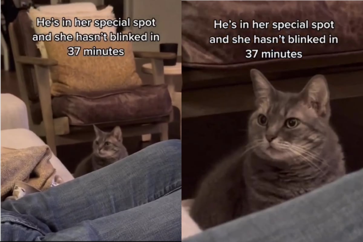 Big Bang Theory