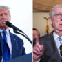 Mitch McConnell & Donald Trump: Republican rage over midterm elections