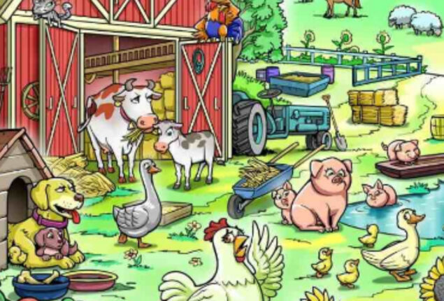 Optical Illusion: Can you find the hen’s chick in 7 seconds?