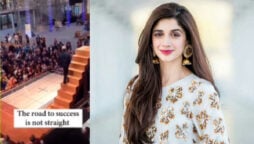 Mawra Hocane praises an artist’s metaphorical reenactment video