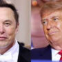 Trump’s Twitter account is restored by Musk