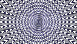 Optical Illusion