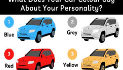 Car Colour Personality Test