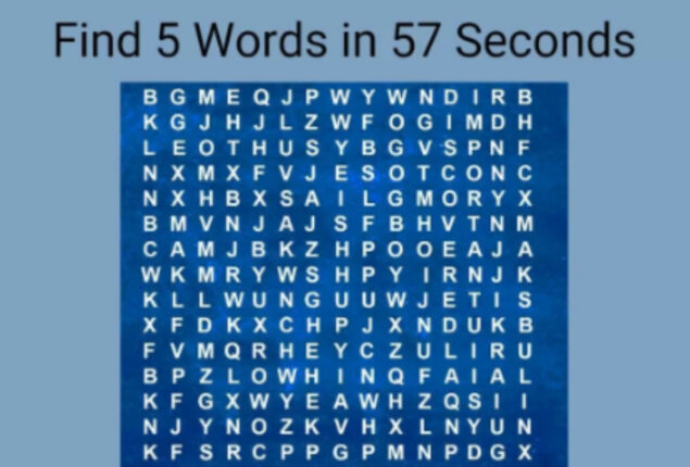 Can you spot five words hidden in the image within 57 seconds?