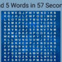 Can you spot five words hidden in the image within 57 seconds?