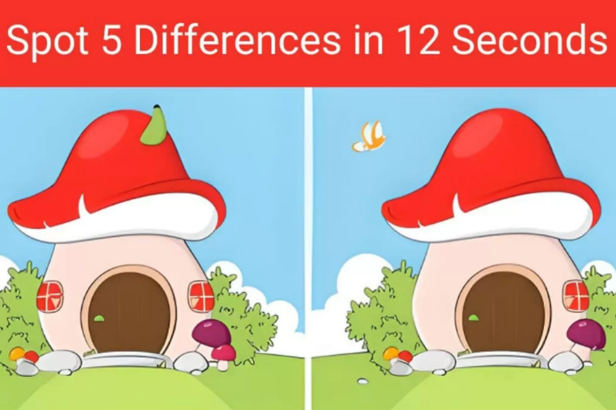 detect five differences