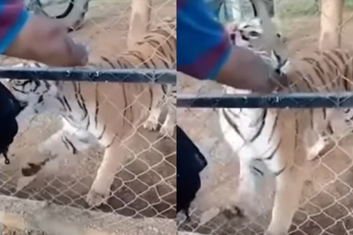 Mexico zookeeper