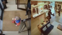 Thief knocks himself out while flees with £15k bags