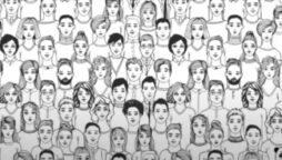Optical Illusion: Find the Panda in 15 Seconds