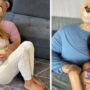 Giant Emotional Support Bear Is Your Snuggle Buddy