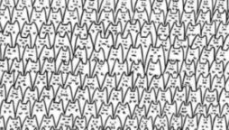 Can you find Batman among a bunch of cats in 11 seconds?