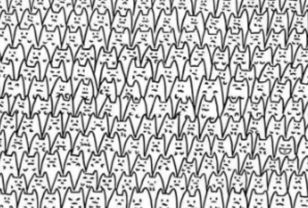 Can you find Batman among a bunch of cats in 11 seconds?