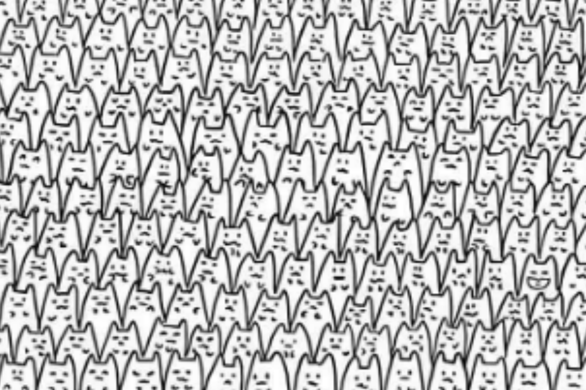 Optical illusion