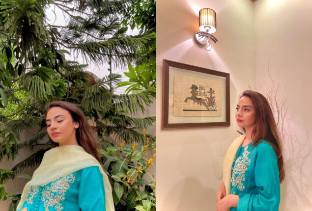 Meher Bano’s latest bold picture sets internet on fire