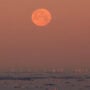 Did you know “Blood Moonset-Sunrise” is expected to appear in America and concept of “Selenium Eclipse”? 