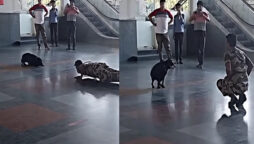 Internet is amazed by dog doing yoga with CISF officers at Delhi Metro station