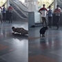Internet is amazed by dog doing yoga with CISF officers at Delhi Metro station