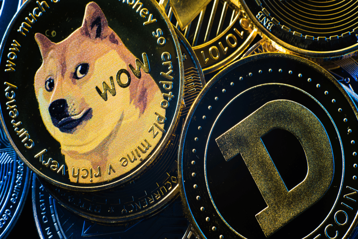 Doge Price