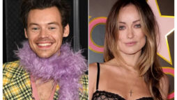 Olivia Wilde takes Otis and Daisy to a Harry Styles concert