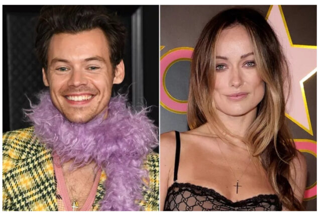Olivia Wilde takes Otis and Daisy to a Harry Styles concert