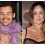 Olivia Wilde takes Otis and Daisy to a Harry Styles concert