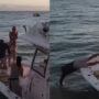 Man jumps into ocean after proposal ring falls: Watch