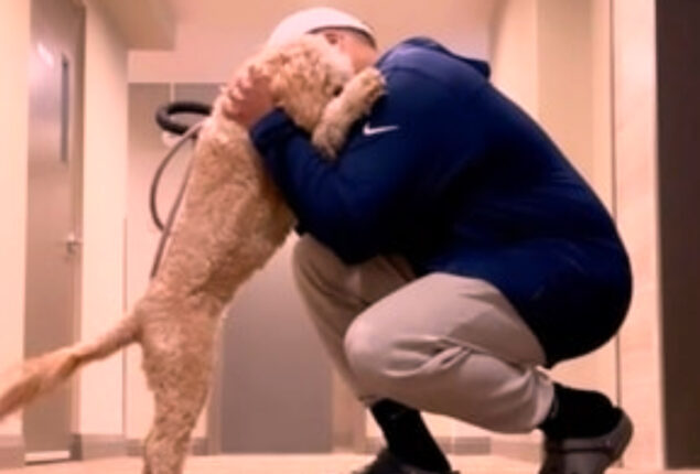 Dog hugs her owner