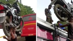 bus-ladder-climbing
