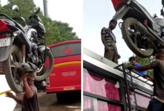 bus-ladder-climbing