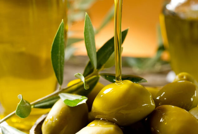 Italy to assist with technical support to Pakistan in olive oil production