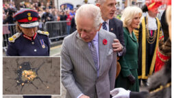 Princess Diana’s staffer was shocked King Charles’ security allowed the egging