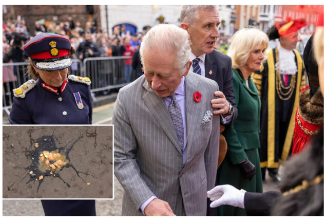 Princess Diana's staffer was shocked King Charles' security allowed the egging