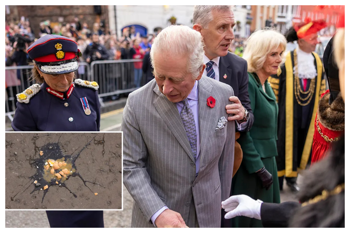 Princess Diana's staffer was shocked King Charles' security allowed the egging
