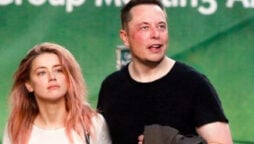 amber heard elon musk