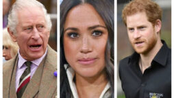 King Charles III has been "threatening" Prince Harry and Meghan Markle