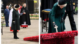 Camilla seems in good spirits as she honours war dead at Westminster Abbey