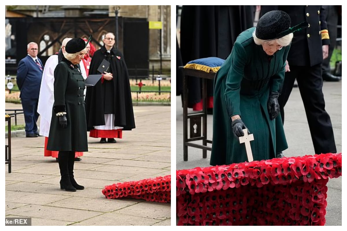 Camilla seems in good spirits as she honours war dead at Westminster Abbey
