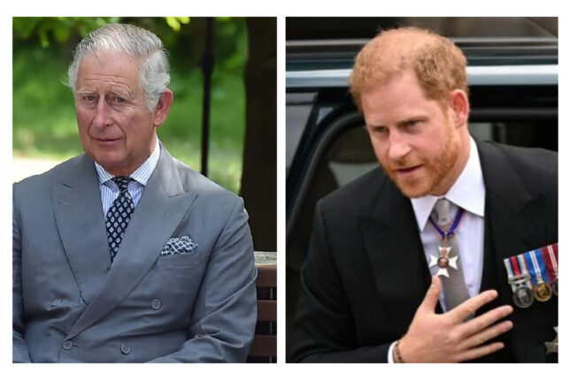Using a “scorching earth” strategy, Prince Harry plots to assassinate King Charles