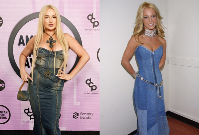 At the 2022 American Music Awards, Kim Petras looked chic on the red carpet