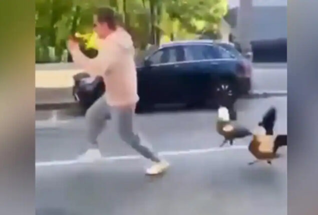Man attacked