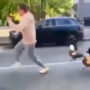 Man attacked by goose while playing with its children: WATCH